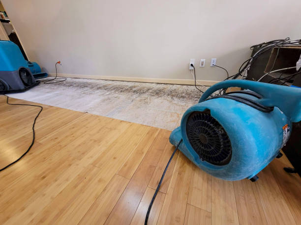 Professional Water Damage Repair technician working in Bishop, TX