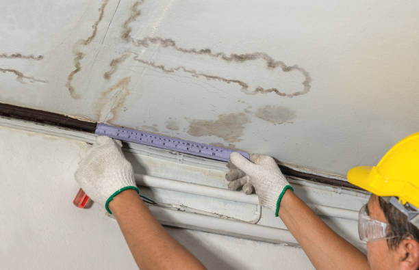 Affordable Water Damage Repair solutions in Bishop, TX